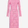 Branded floral cordonetto lace sheath dress