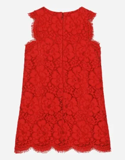 Cordonetto lace midi dress