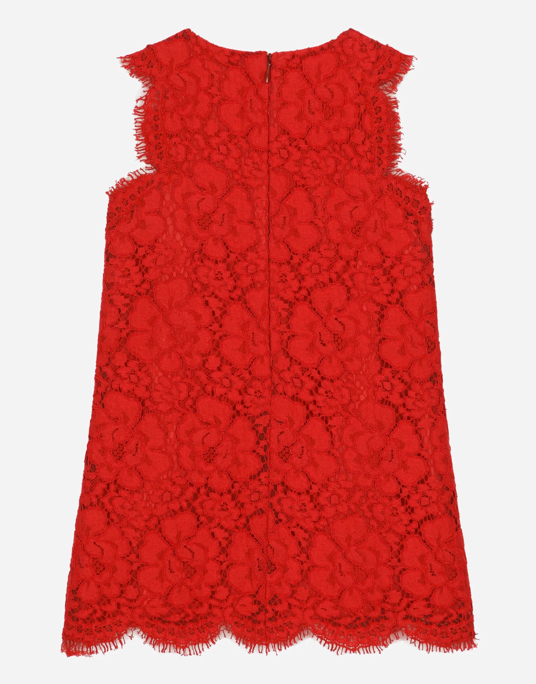 Cordonetto lace midi dress