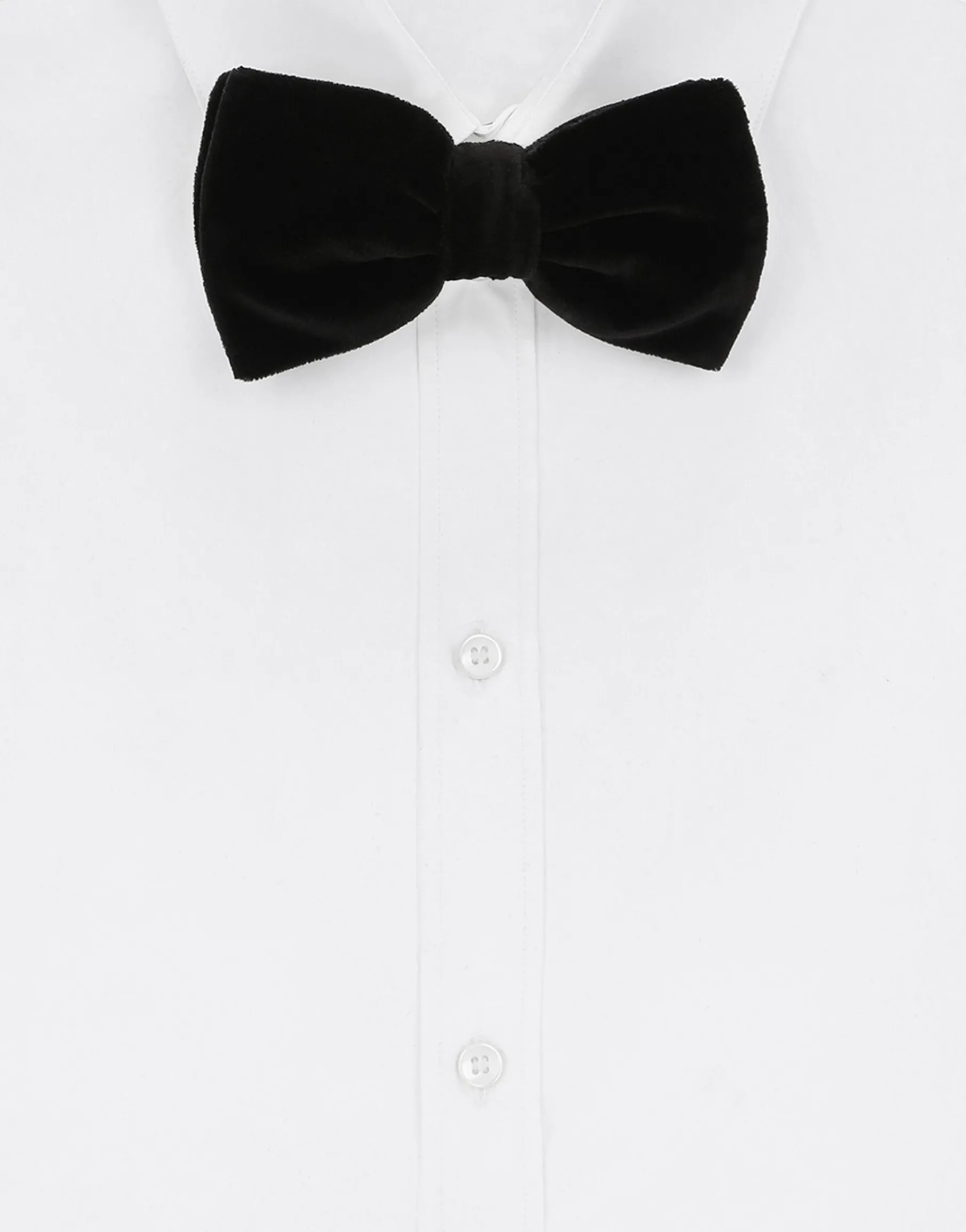 Cotton velvet bow tie