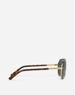 DNA sunglasses