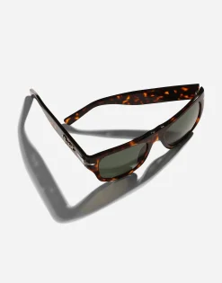Dolce&Gabbana x Persol sunglasses