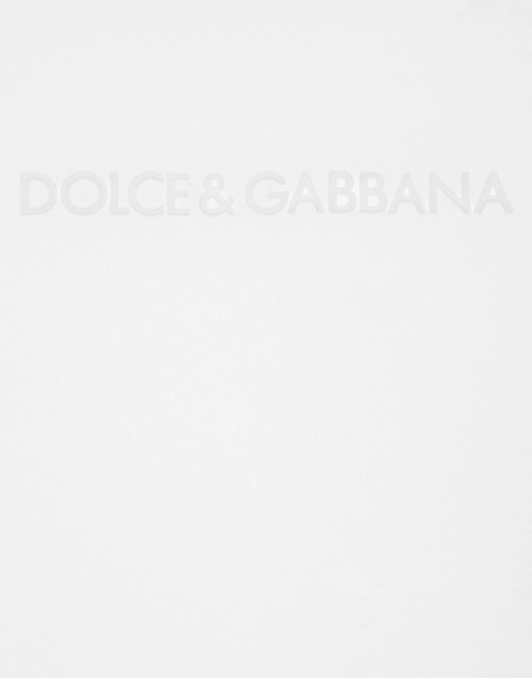 Jersey T-shirt with flocked Dolce&Gabbana detail