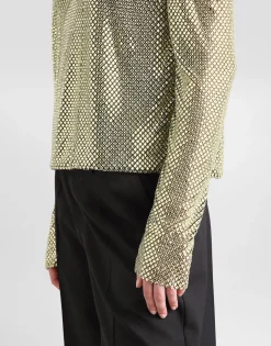 Long-sleeved top in crystal mesh
