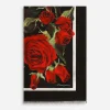 Modal and silk scarf with all-over rose print
