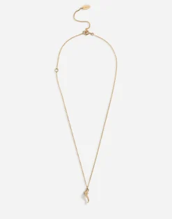Necklace with good luck charm
