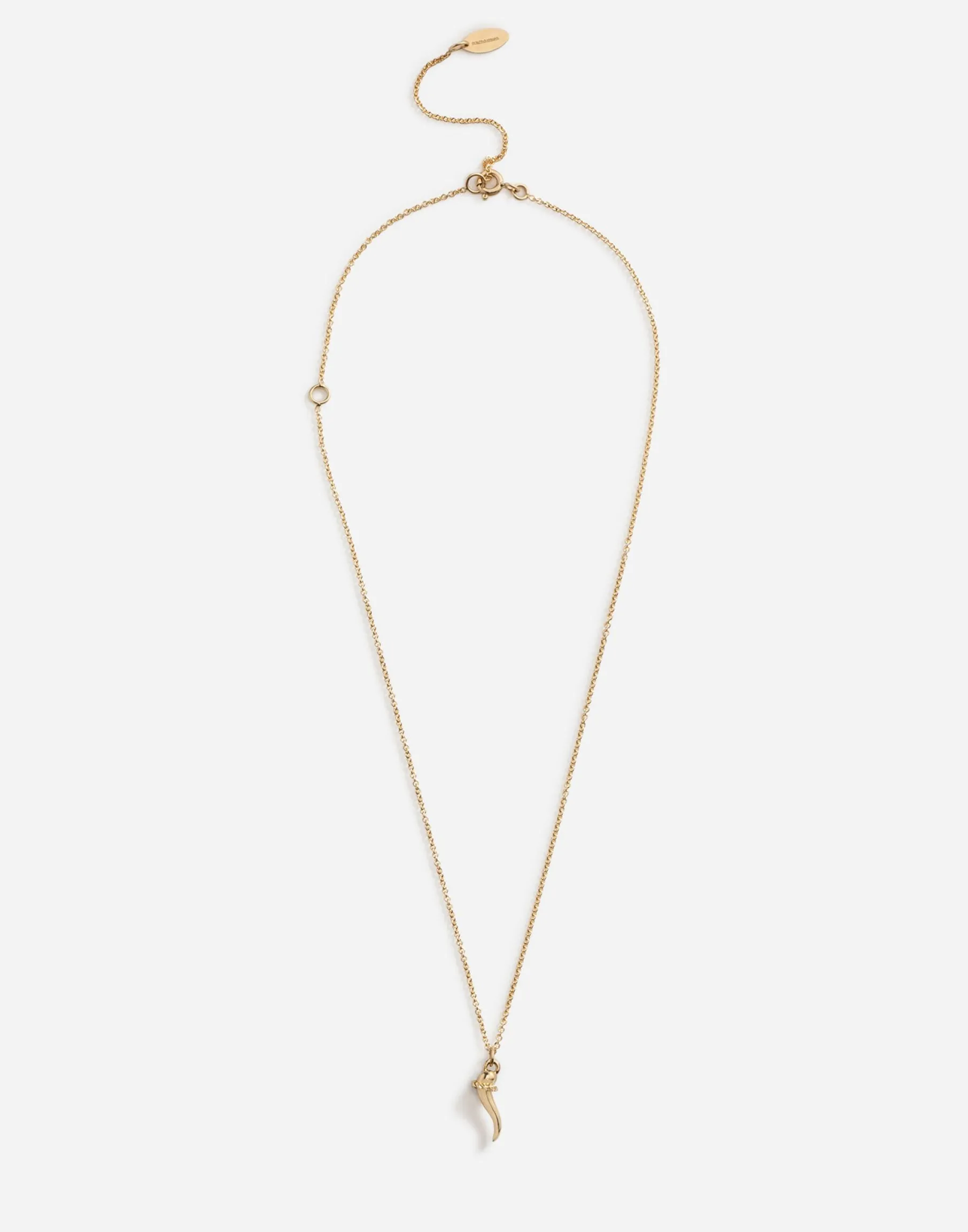 Necklace with good luck charm