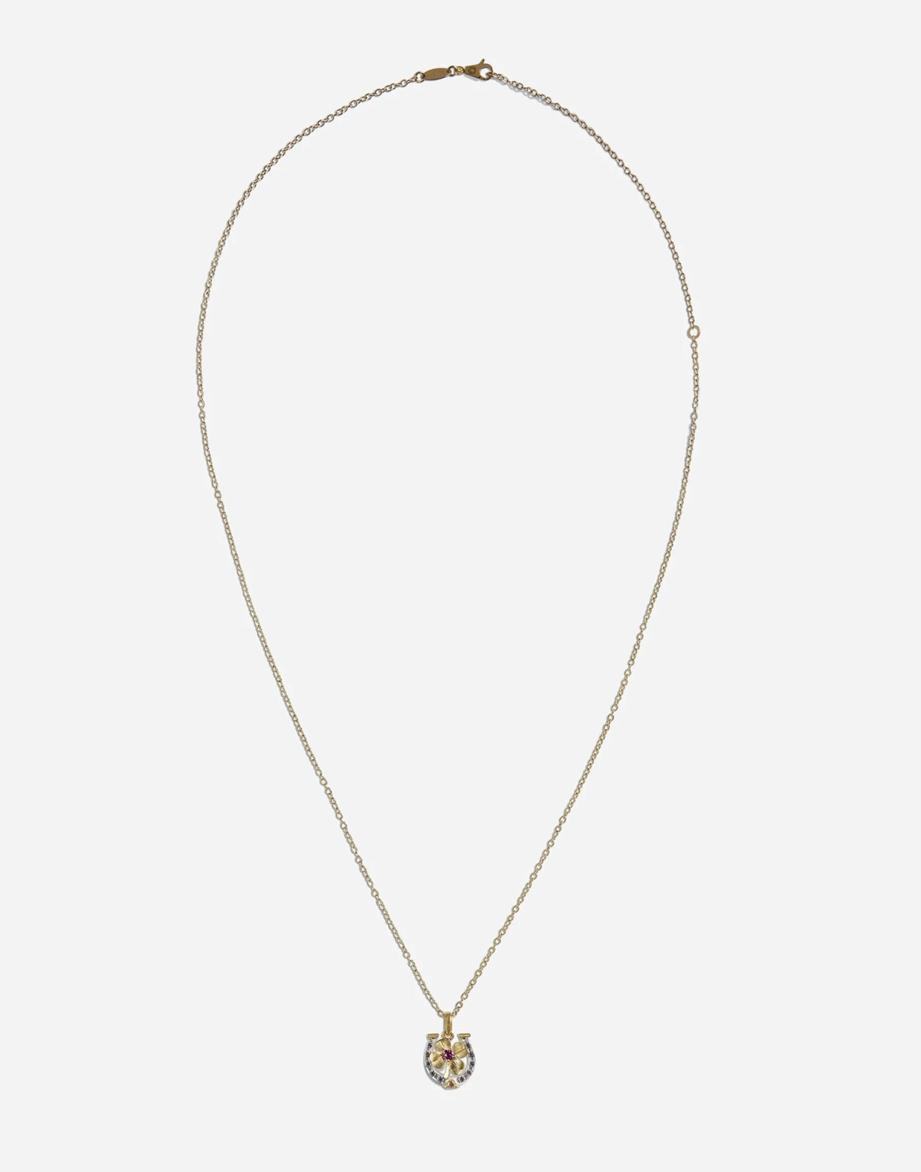 Necklace with good luck charm