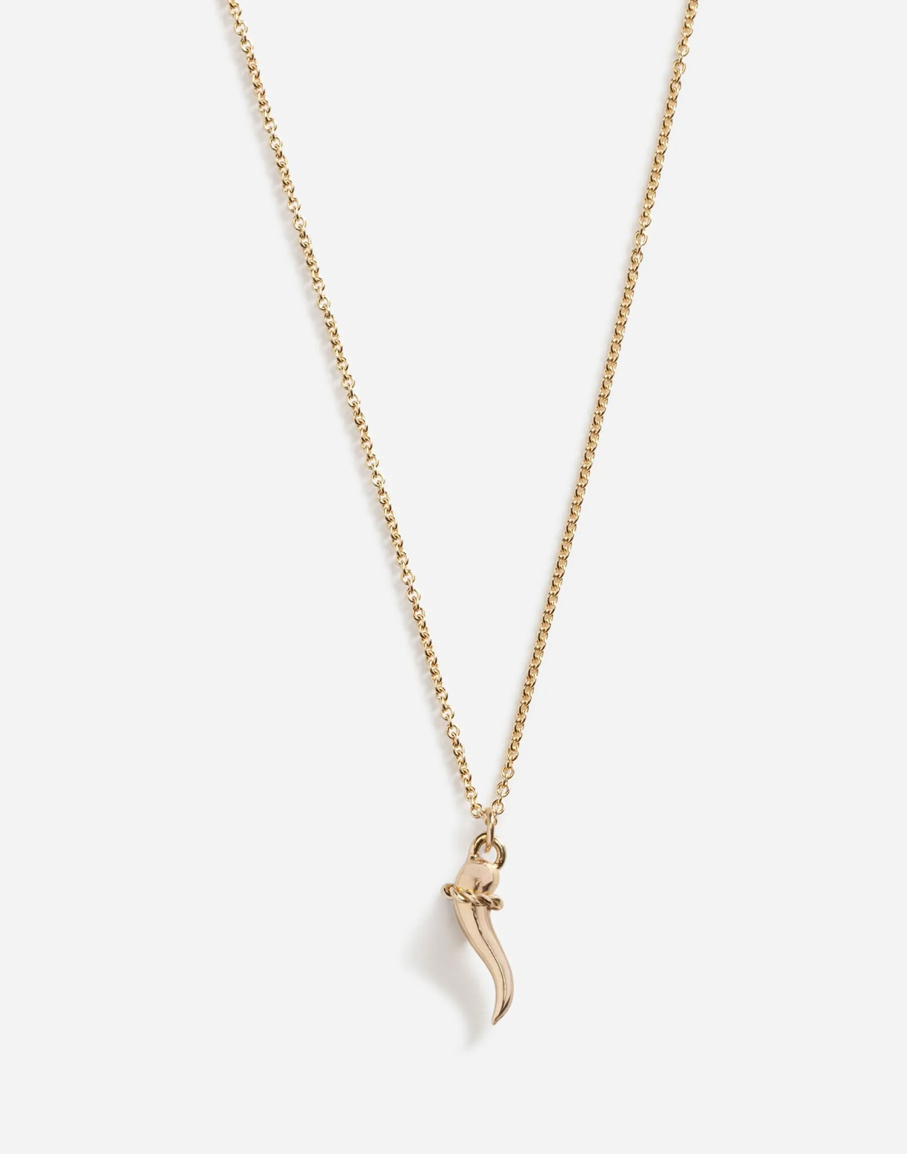 Necklace with good luck charm