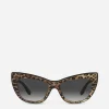New print sunglasses