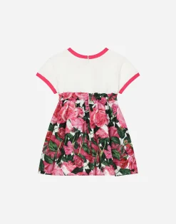 Poplin and jersey dress with rose print over a white background