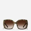 Print family sunglasses