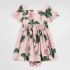 Rose-print poplin dress