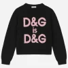 Round-neck sweater with DG logo inlay