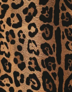 Short-sleeved leopard-print Crespo T-shirt