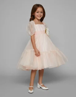 Silk organza dress