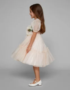 Silk organza dress