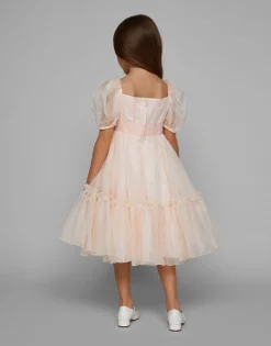 Silk organza dress