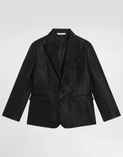 Single-breasted lamé jacquard wool jacket