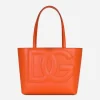 Small calfskin DG Logo shopper