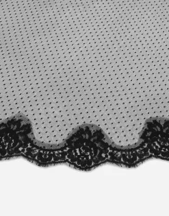 Tulle plumetis veil with lace trim